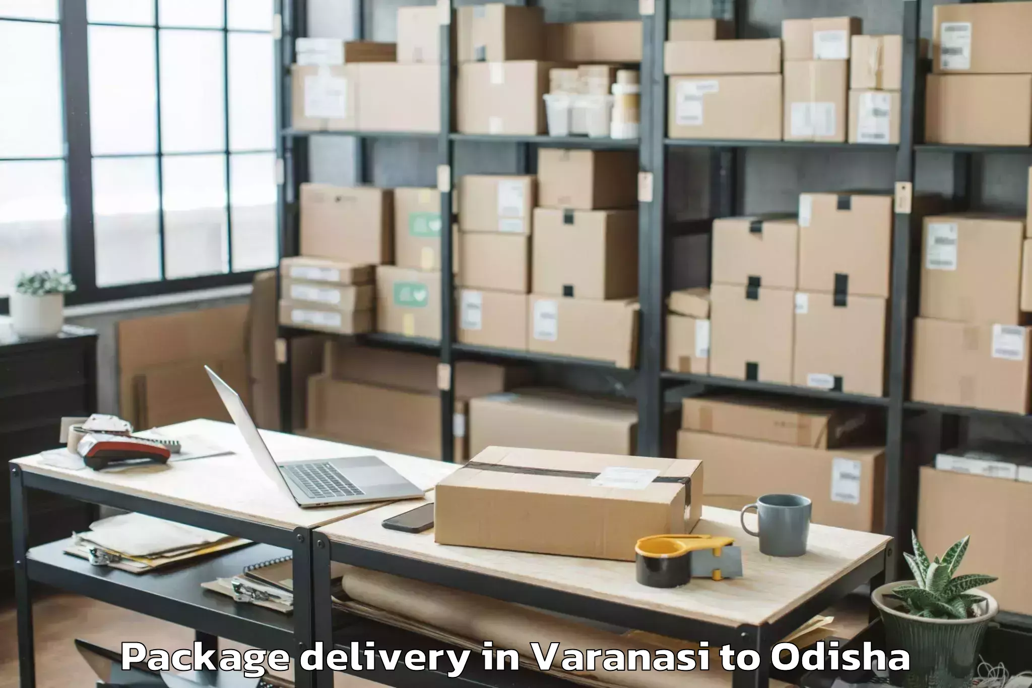 Quality Varanasi to Khandapada Package Delivery